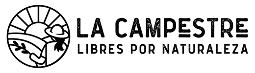 AviGestión